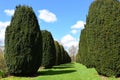 Topiary, Hinton Ampner House and Garden, Hampshire, England. Royalty Free Stock Photo