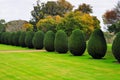 Topiary, Montacute House,Somerset, England