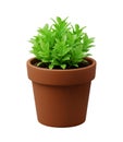 Topiary Plant in a Pot Minimalist 3D Rendering in a Soft And Smooth Renderer Royalty Free Stock Photo
