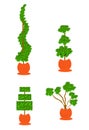 Topiary planters