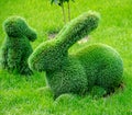 Topiary sculpture of a hare rabbit made of artificial grass