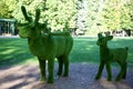 Topiary sculpture made of artificial grass of a deer with antlers and a young deer in the central park \