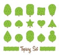 Topiary set. Different basic shape of bushes, trees. Green multiform shrubs.