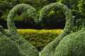 Topiary swans love heart Royalty Free Stock Photo