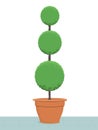 Topiary tree
