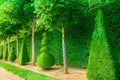 Topiary trees