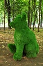 Topiary. Trimmed green bushes, a seated bear figurine.