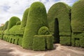 Topiary in Tulcan Ecuador Royalty Free Stock Photo