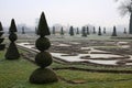 Topiary yews with pyramid and ball shapes in winterly palace garden