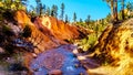 The Topic Ditch carved a path though the vermilion colored sandstone rocks downstream of the Tropic Ditch falls in Bryce Canyon