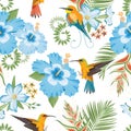 Topical flowers seamless pattern. Lovely background with tropical birds and flowers. Hibiscus and hummingbird background