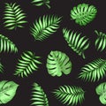 Topical palm leaves pattern. Royalty Free Stock Photo