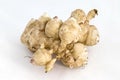 Topinambur or Jerusalem artichoke tuber vegetables Royalty Free Stock Photo