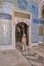 Topkapi palace interior famous decoration. Iznik tiles. Istanbul landmark. Turkey Royalty Free Stock Photo