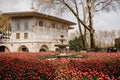 TopkapÃÂ± Palace and red tulips Royalty Free Stock Photo