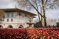 TopkapÃÂ± Palace and red tulips Royalty Free Stock Photo