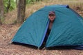 Topless man gets up in the morning in his camping tent Royalty Free Stock Photo