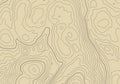 Topographic map background with altitude lines. Abstract terrain topography with elevation levels of the relief