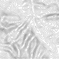 Topographic map background with space for copy . Line topography map contour background , geographic grid abstract Royalty Free Stock Photo