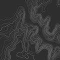 Topographic map lines background. Abstract vector illustration Royalty Free Stock Photo