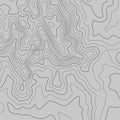 Topographic map lines background. Abstract vector illustration Royalty Free Stock Photo