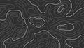 Topographic map lines. Topology outline contour. Vector wavy abstract relief