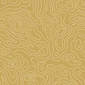 Topographic Map Seamless Pattern