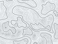 Topographic map. Vector geographical concept with the lines of the terrain. Background