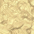 Topographic terrain map, abstract earth wave relief, contour yellow sand dunes background. Mountain surface in top view. 3d render Royalty Free Stock Photo