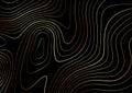 Topography map design in gold and black