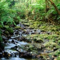 Topography of pot hole with river