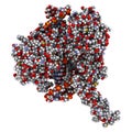 Topoisomerase I (topo I) DNA binding enzyme. Target of a number of chemotherapy drugs used against cancer