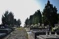 TOPOLCANY, SLOVAKIA - 30.10.2015: Graves, tombstones and crucifixes on traditional cemetery. Votive candles lantern and flowers