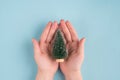 Topoverhead above close up view photo of small toy tree in female hands isolated over pastel blue color background Royalty Free Stock Photo