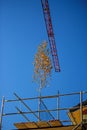 Topping out, German tradition in building construction