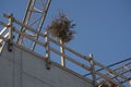 Topping out or roofing ceremony