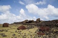 Toppled over Moais Akahanga on Easter Island Royalty Free Stock Photo