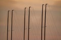 Tops of a few masts of sailing yachts parked in port at sunset Royalty Free Stock Photo