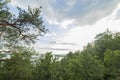 Tops of green forest trees on amazing beauty  sunset on Baltic sea blue sky and white clouds background on  summer day. Royalty Free Stock Photo