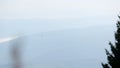 Tops of hills in thick haze, bird flying over foggy landscape, quietness, nature