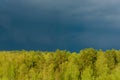 Tops of trees under blue storm clouds or thunderclouds Royalty Free Stock Photo