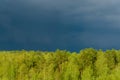 Tops of trees under dark storm clouds. Royalty Free Stock Photo