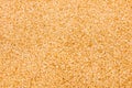 Topview, brown sugar or Saccharum officinarum background