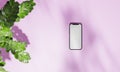 Topview with colorful background snd tree stand or podium on advertising display with blank backdrops. 3D rendering