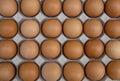 Topview eggs in crate