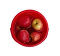 Topview of Group of apples kept in salt water in a plastic bowl to detox and to reduce the oxidation, isolated on white.