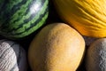 Topview lot of melons Royalty Free Stock Photo