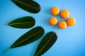 Topview of orange with desktop on plates blue background. topview or flat lay fruit.