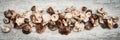 Topview panorama, lots of delicious shiitake mushrooms on wooden table