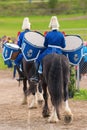 Tor and Oden the Drum horses leaving the arena at the The Mounted Guard event